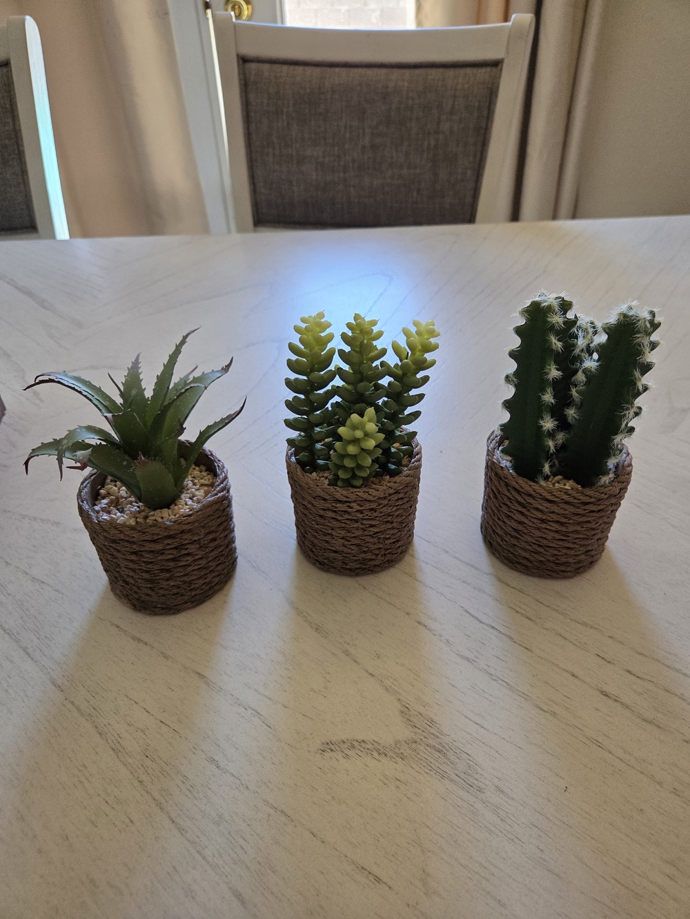 Fuxdre 3-Pack Artificial Succulent Plants